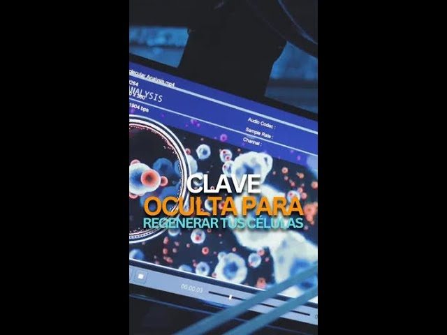 Descubren un misterio celular que revela la importancia del buen descanso nocturno