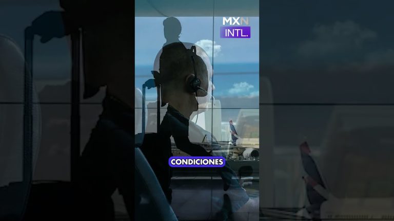 Durante las huelgas, el Gobierno acusó al sindicato de controladores aéreos: razones y estado actual de la manifestación