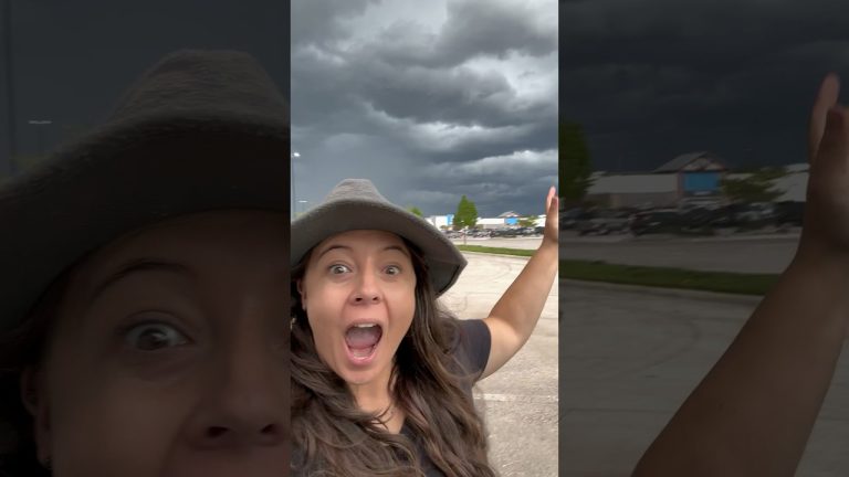 El mal tiempo sorprendió a quienes asistieron a la feria del patio en Catamarca con intensas lluvias y fuertes vientos