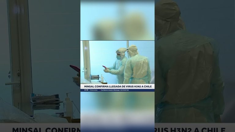 El virus H3N2 desciende hacia Chile mientras Argentina investiga posibles casos