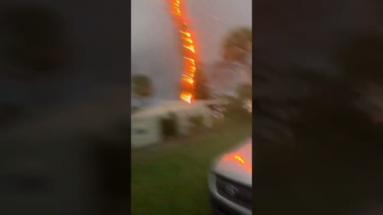 Fuertes tormentas en el corazón de Santa Fe: tornados causan daños en techos y árboles