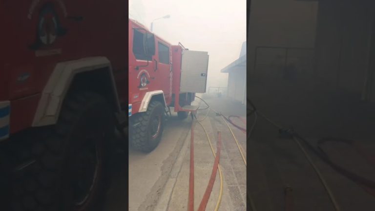 Herramienta el&eacute;ctrica, chispas y hierbas secas: causas del incendio en el coraz&oacute;n de Bariloche