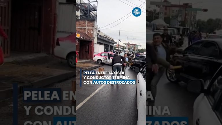 Hombre intoxicado y sin ropa genera incidente en carretera de Chile y daña vehículo argentino quebrando su parabrisas