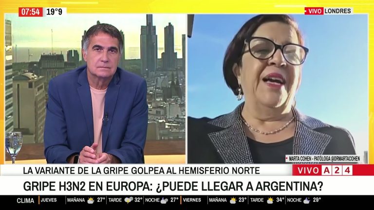 Impacto de la gripe H3N2 en Argentina y efectividad de la vacuna anterior