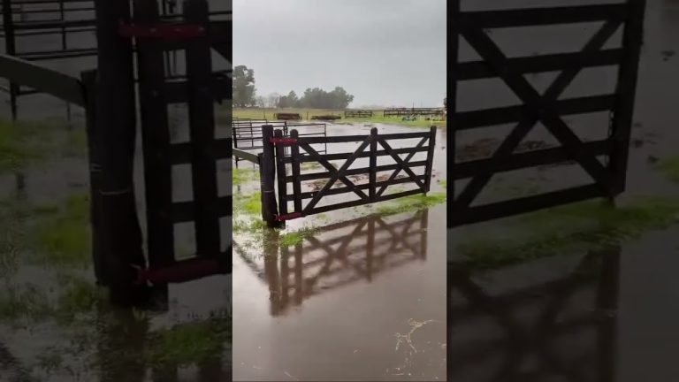 Intensa lluvia azot&oacute; el Gran Buenos Aires: razones del impacto en el GBA y escasa percepci&oacute;n en la Ciudad, junto al volumen de precipitaciones