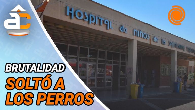 Tres pitbulls atacan a niño de 9 años mientras jugaba a la pelota: &#8220;Quisieron matarlo