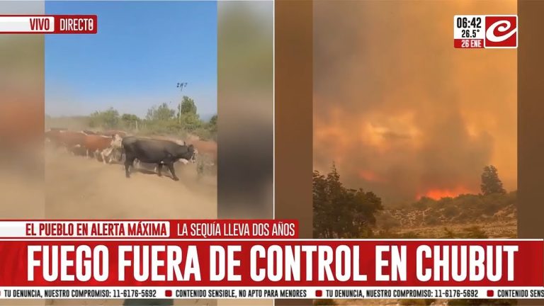 Analizan culpabilidad de funcionarios por fuego en bosque nacional de Chubut