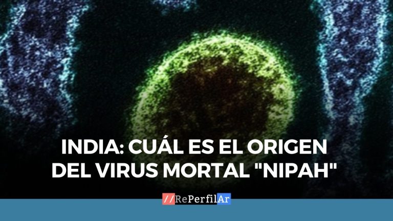 Brote del virus Nipah en India: informaci&oacute;n sobre s&iacute;ntomas, v&iacute;as de contagio y ausencia de vacuna a nivel global