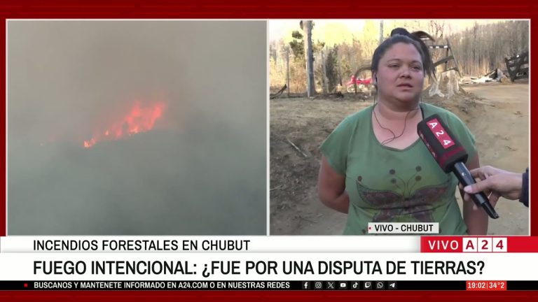 Confirman que el incendio en Puerto Patriada est&aacute; totalmente controlado en Chubut