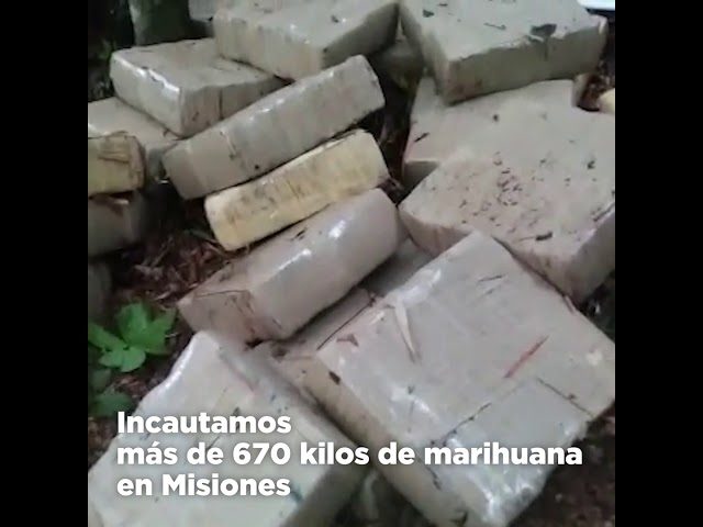 Confiscan 129 kg de marihuana en 24 horas: intentaban transportarla en una maleta por Ezeiza y en vehículo por Misiones.