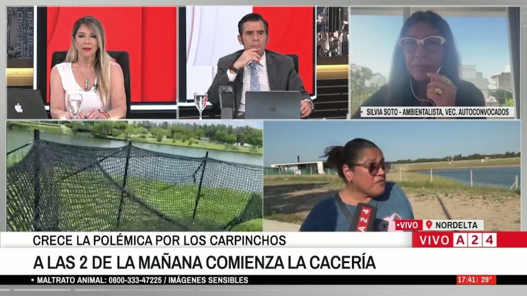 Conflicto en Nordelta por desalojo de carpinchos: vecinos organizados piden coexistencia con la fauna