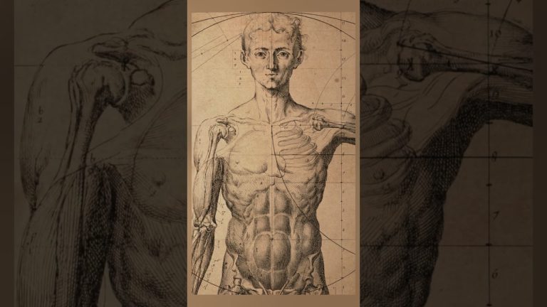 Descubrimiento en Italia: encuentran la legendaria bas&iacute;lica atribuida al arquitecto que inspir&oacute; a Leonardo da Vinci