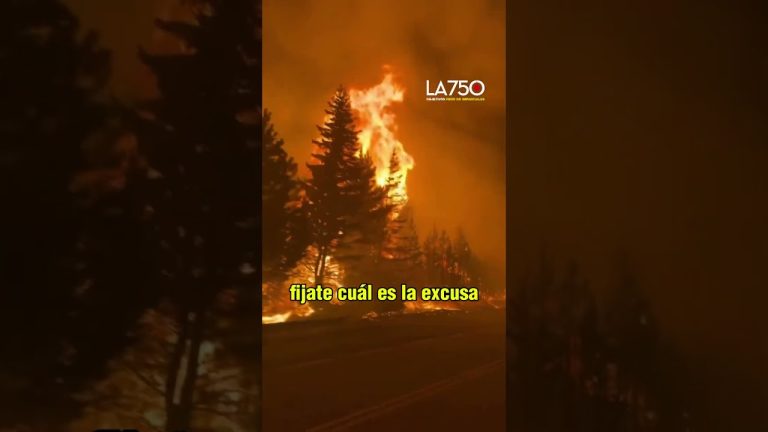 El gobierno asignará más de $100,000 millones para apoyar a bomberos durante los incendios en la Patagonia