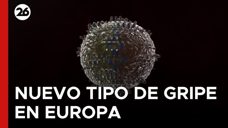 Expansi&oacute;n del virus H3N2 en Argentina: 14 provincias afectadas y nueva informaci&oacute;n sobre su impacto