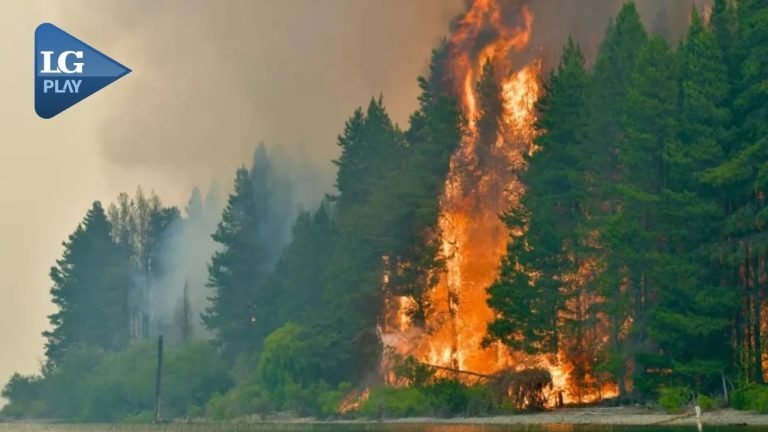 Fiscal contradice al gobierno: descartan relaci&oacute;n de grupos mapuches con incendios en Chubut