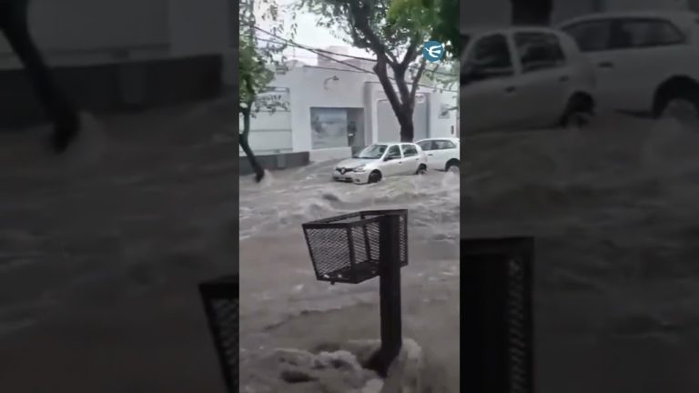 Fuerte tormenta en Mendoza: granizo, inundaciones, vehículos afectados y el rescate de un trabajador atrapado en retroexcavadora volcada