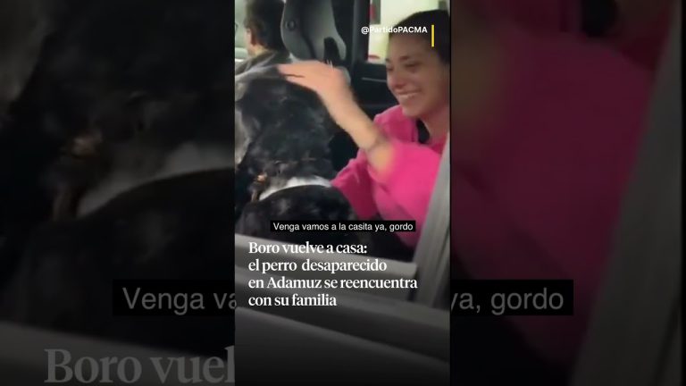 Impactante descubrimiento de un corredor en Santa Cruz: restos humanos en estado de descomposición.