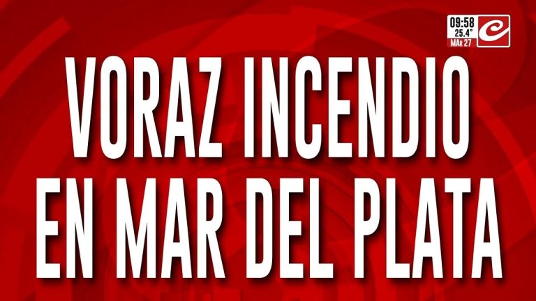Incendio en avenida Colón de Mar del Plata obliga a evacuar tras devastar taller de autos y ferretería