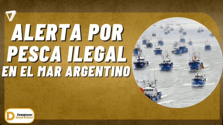Infracci&oacute;n detectada: buque extranjero pesca de forma ilegal en aguas exclusivas del mar argentino