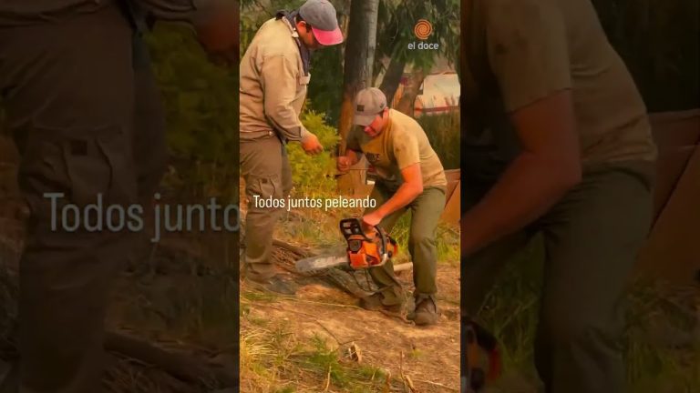 La lluvia da tregua a los bomberos en el incendio de Chubut, pero el fuego persiste.