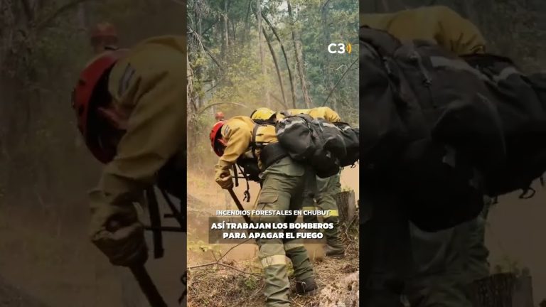 Rebrote de incendios en &aacute;rea protegida de Chubut dificulta labores de bomberos por condiciones clim&aacute;ticas