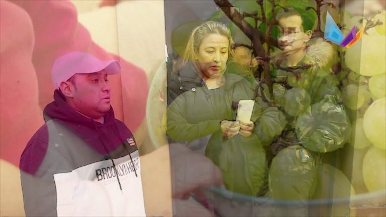 Tragedia en colonia de vacaciones: niño de dos años fallece tras atragantarse con una uva