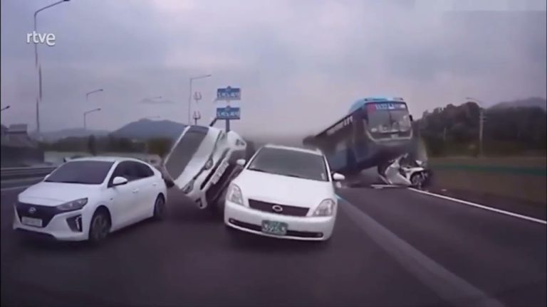 Colisi&oacute;n de autobuses en barrancas de Belgrano por la ca&iacute;da de &aacute;rboles