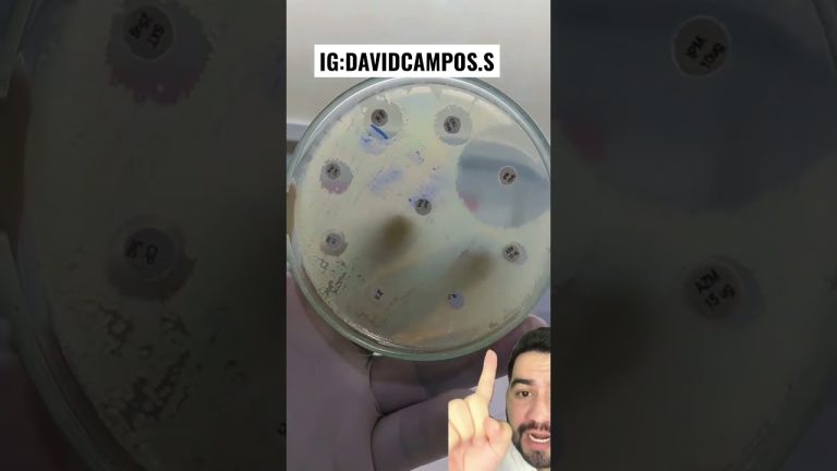 Descubren microorganismo antiguo en cueva con resistencia a múltiples antibióticos actuales