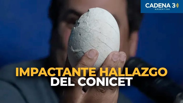 Descubrimiento paleontológico en Argentina: dinosaurio pequeño que redefine la evolución