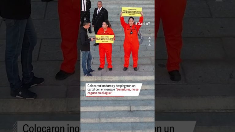 Doce activistas de Greenpeace arrestados en el Congreso: liberados sin antecedentes.