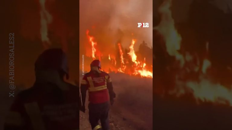 Fuegos en Chubut: desde la devastación del entorno natural hacia su esperada restauración
