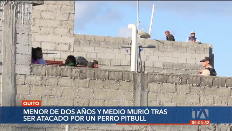 Niño de 2 años atacado por pitbull en Santa Fe; familia alerta sobre incidentes previos del perro.