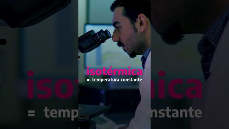 Arresto de investigadora de Argentina por el enigmático hurto de virus peligrosos en laboratorio brasileño.