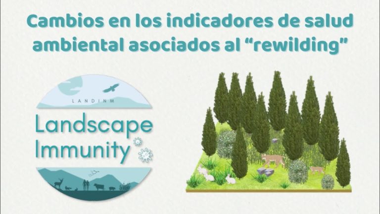 Cómo las provincias intercambian fauna para revitalizar hábitats en el día dedicado al rewilding.