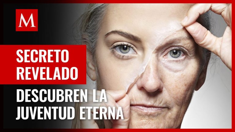 Descubren una nueva raz&oacute;n del deterioro de la memoria con el envejecimiento