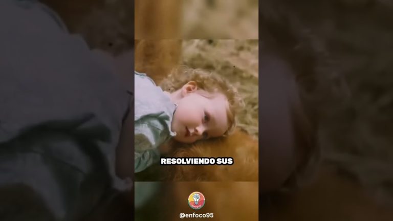 Es hora de que los adultos retomen la responsabilidad y dejen de perder el foco.