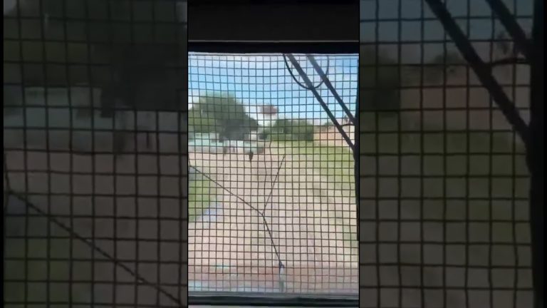 Increíble rescate: agente salva a niño de 3 años de ser arrollado por un tren.