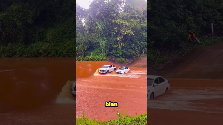 Aislados por lluvias: improvisan camilla para trasladar a enfermo por r&iacute;o sin ambulancia ni helic&oacute;ptero