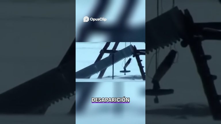 Cucarachas, moscas y una habitación prohibida: los oscuros detalles de la muerte de una joven en Entre Ríos