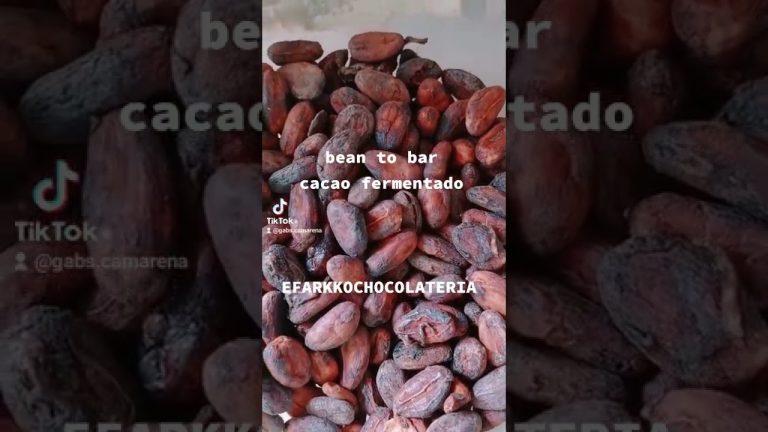 Desarrollan la primera barra de chocolate usando células de cacao cultivadas en laboratorio.