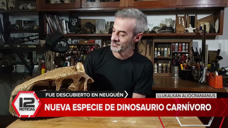 Descubren en Patagonia una especie de dinosaurio primitivo bautizada como Bicharracosaurus