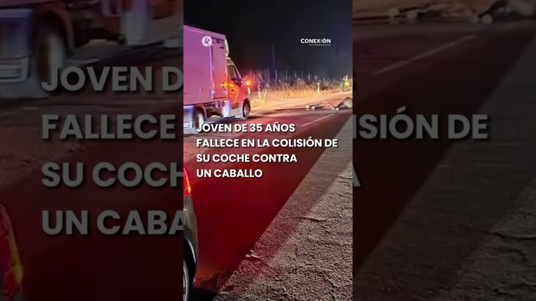 Fatal incidente en la carretera 38: conductor fallece tras colisión con caballo.