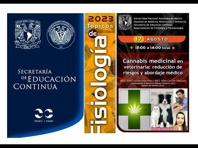 Formaci&oacute;n en medicina cann&aacute;bica para profesionales de salud, odontolog&iacute;a y veterinaria