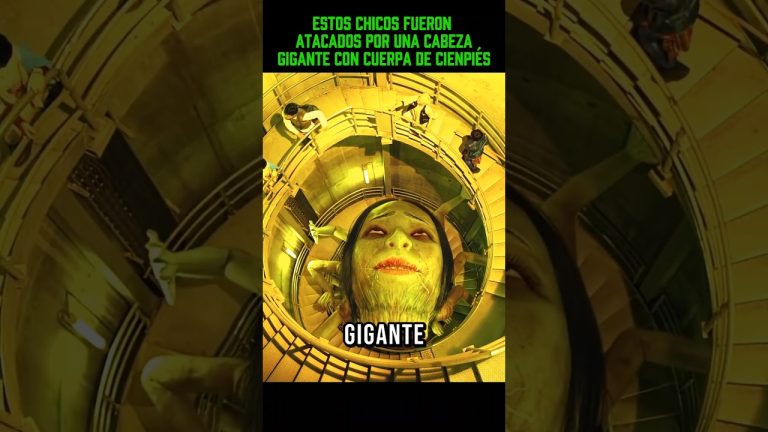 Historias personales: mi pasi&oacute;n por el cine de terror y zombies me hizo sentir comprendido