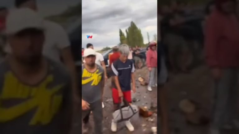 Influencer registra saqueo de camión volcado en Mendoza que llevaba aceite de oliva