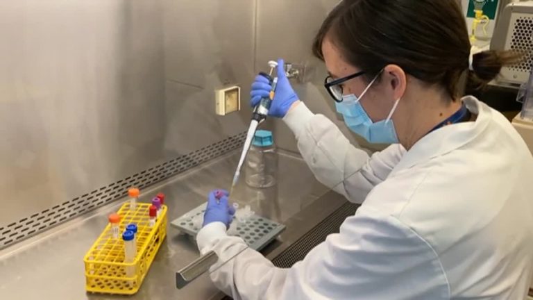 Investigadores desarrollan t&eacute;cnica innovadora para identificar diversas formas de c&aacute;ncer mediante un an&aacute;lisis sangu&iacute;neo