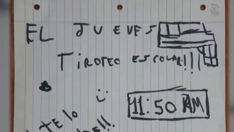 Preocupaciones sobre seguridad escolar ante posibles tiroteos: el desafiante ambiente para los estudiantes