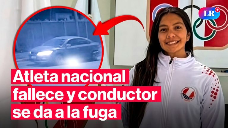 Puma preñada muere atropellada en Neuquén y su cría sobrevive