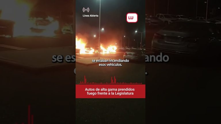 Queman seis veh&iacute;culos frente al parlamento de Neuqu&eacute;n; propietario atribuye el acto a una mujer resentida conocida en redes sociales