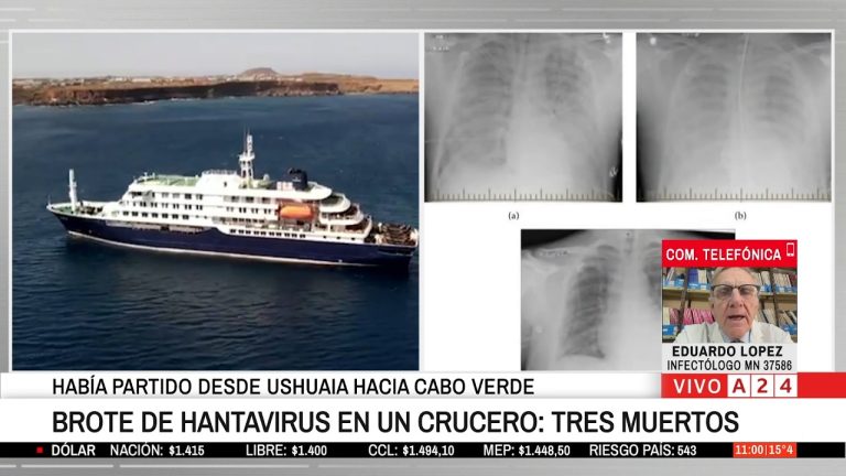 Detectan hantavirus en Tierra del Fuego: motivos para descartar vinculación con el brote del crucero.